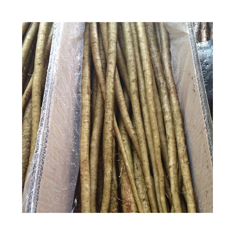 pack Fresh Burdock.jpg