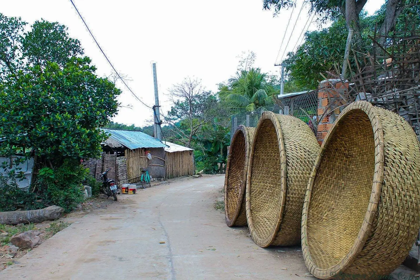 Hot Sale Vietnamese Fishing Boat Bamboo Coracle Cheapest Price For ...