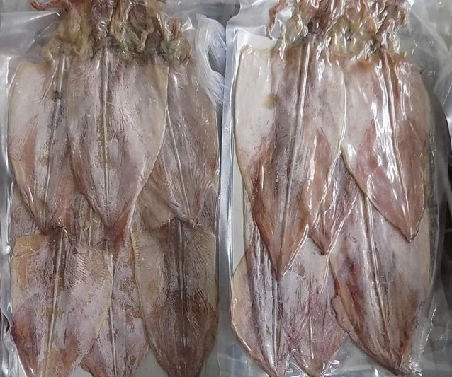 Dry Squid Reasonable Price Dry Squid Type 1,Fresh,Fresh And Delicious