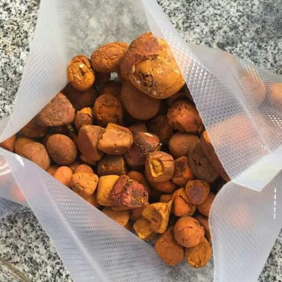 100% Whole Cow Gall Stones / Ox Gallstones for Sale without Broken or powder stones