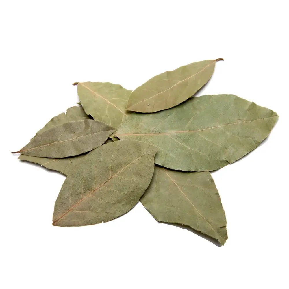 best quality bay leaves for export - buy bay leaf tree,bay leaf