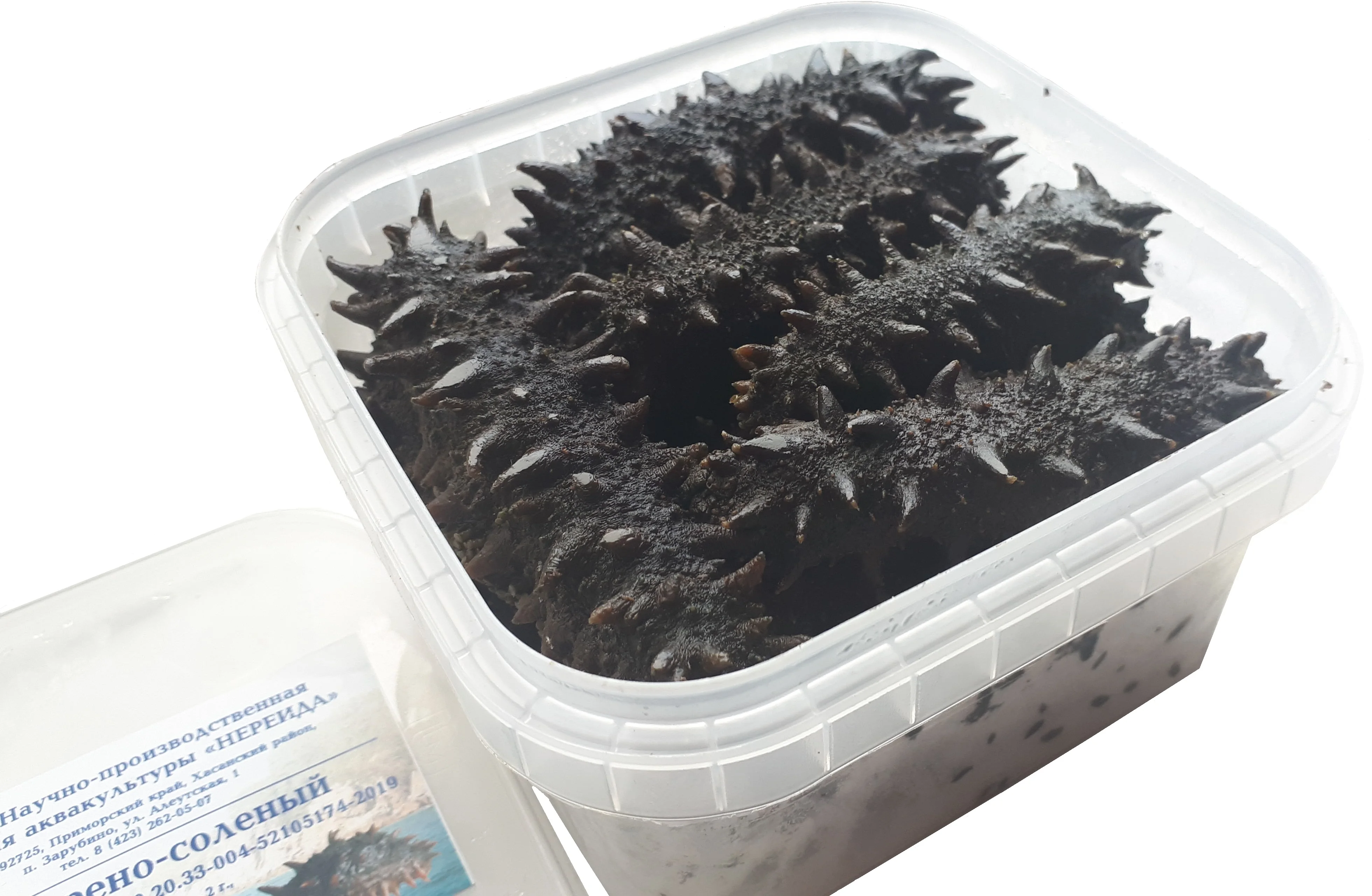 High Quality Natural Frozen Sea Cucumber Boiled And Salted Trepang