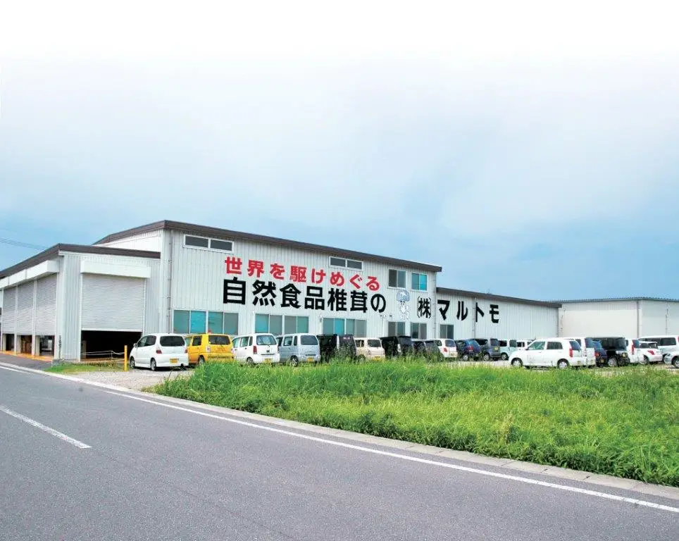 Сушеные замороженные грибы из дикой коричневой еды