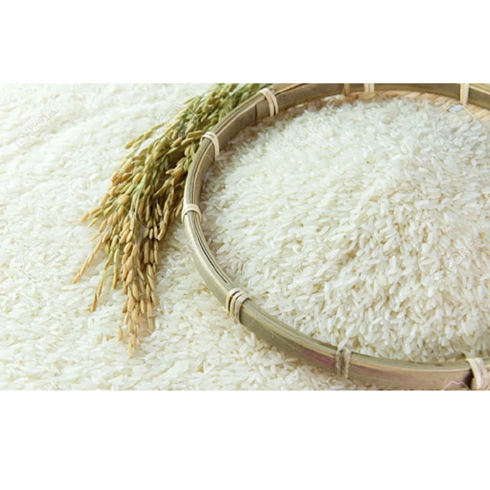 vietnam agricultural top grade quality new jasmine rice with