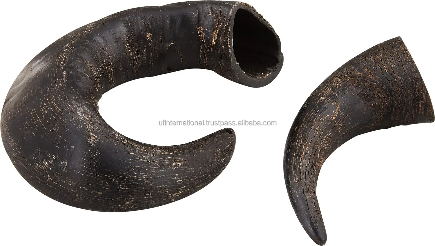 Best Quality Water Buffalo Horn For Dog Chew Horn Dog Food Large And