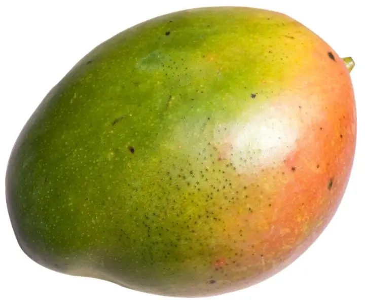 25 (1).png