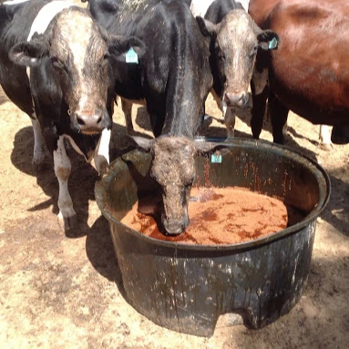 Melaza de Caña 6 KG. Para alimentación de ganado vacuno y ovino