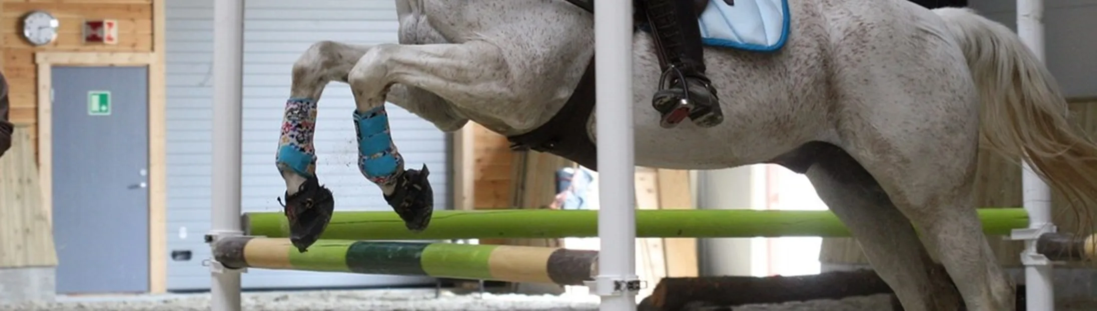 Front Flexor Tendon Riding Horse Boots For Training Jumping Riding