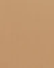 สีน้ำตาลอ่อน