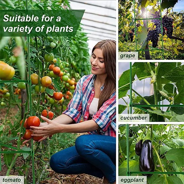 Заводская оптовая продажа утолщенный пластиковый проволочный обруч для поддержки комнатных и уличных цветов решетка для подъема