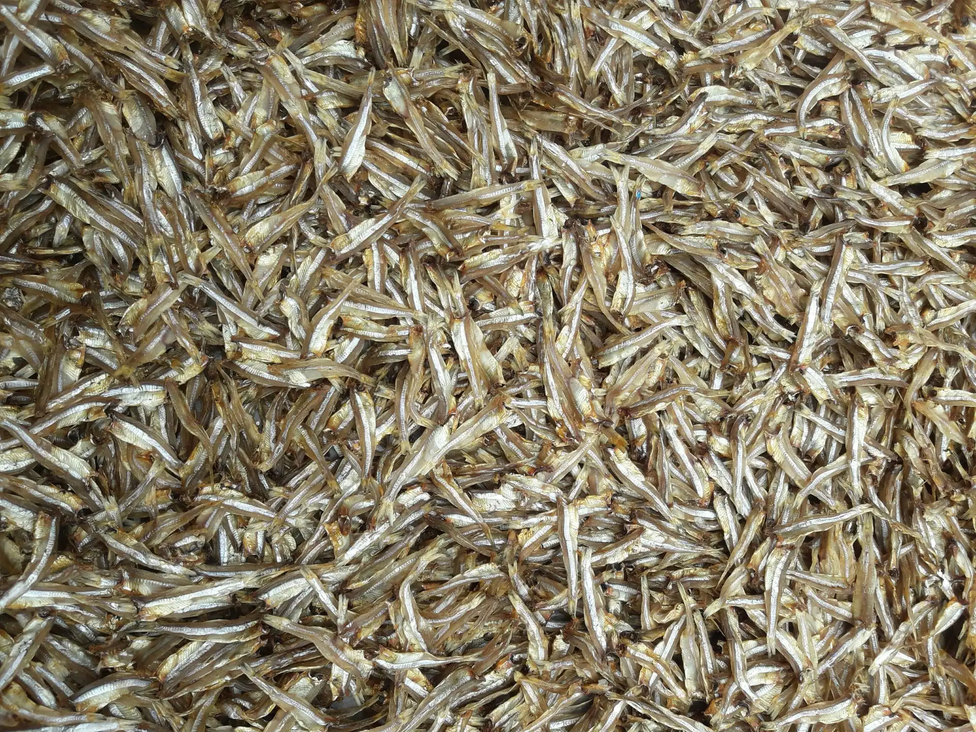 Factory Price Dried Anchovies Anchovies Dog Treat High Quality