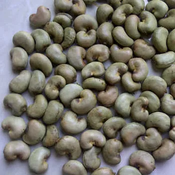 Raw Cashew Cashew Nuts Cashew Kernels Buy Raw Cashew Nut In Africa Product On Alibaba Com