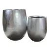 Silver Leaf