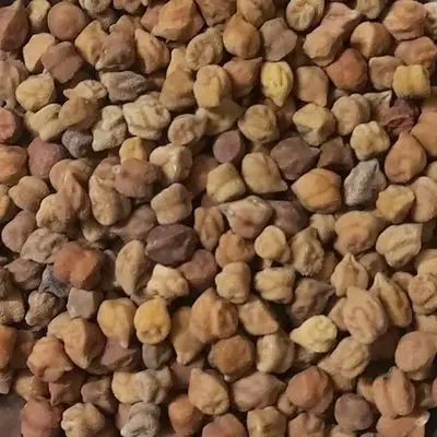 4398959.jpg