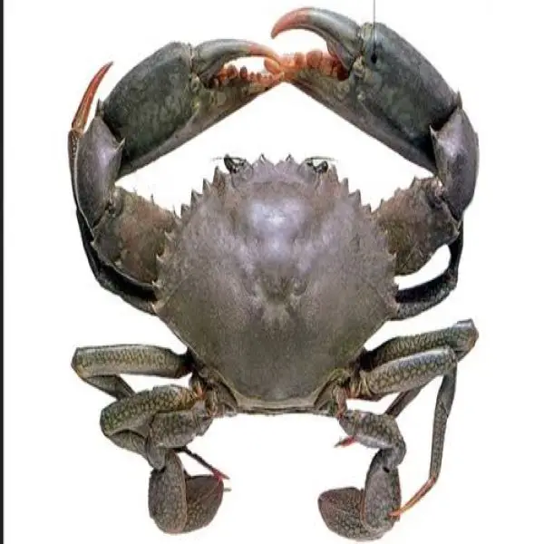 3 (1).jpeg