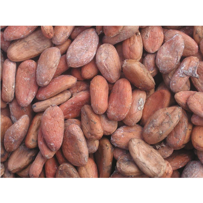 High Sun Dried Cocoa Beans