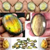 Golden, Green And Copper Flash