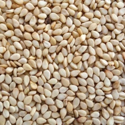 New crop Ethiopian origin sesame seeds Humera amd Wollega types