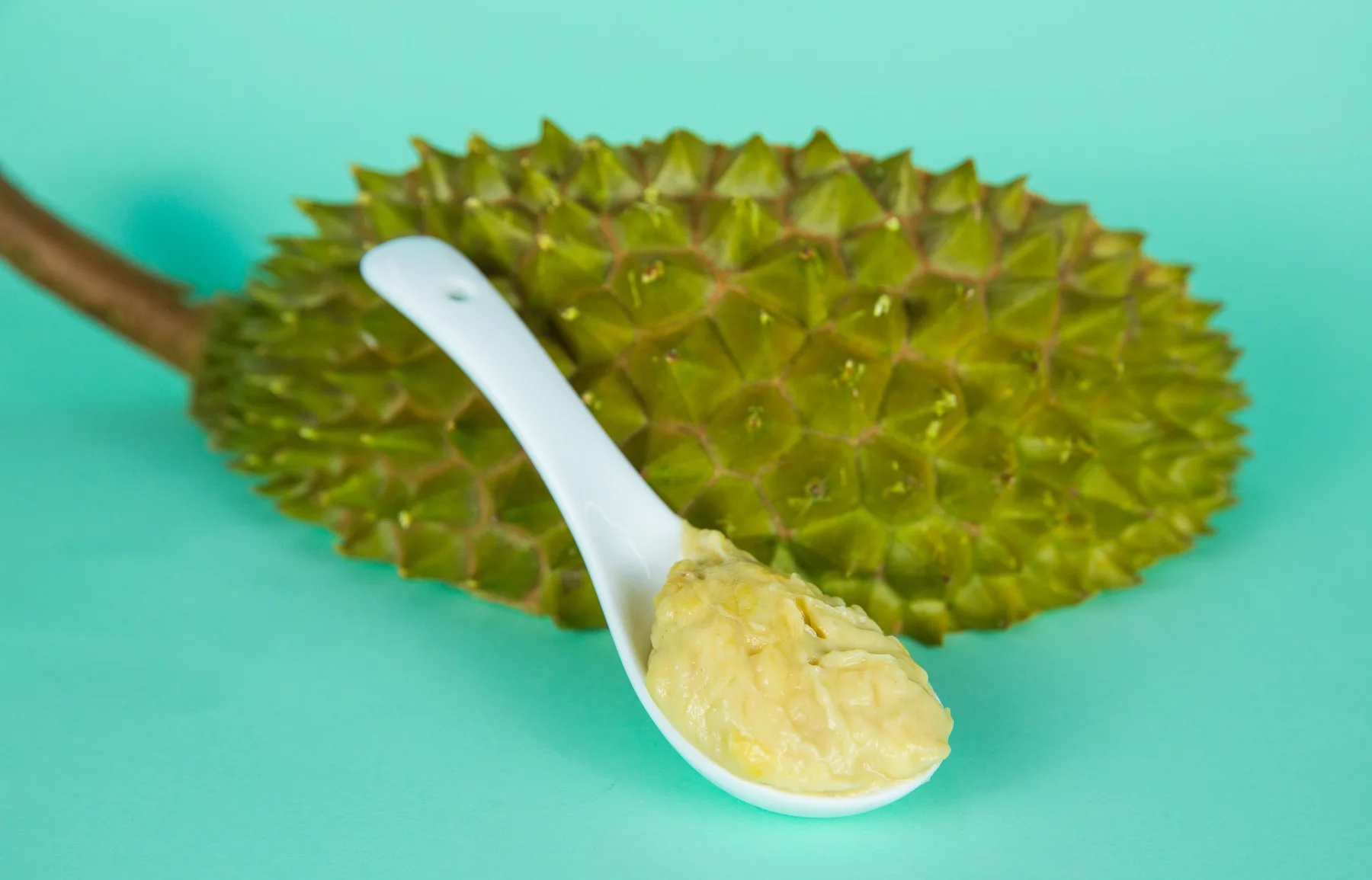 
 Премиум-стандарт, 100% чистая замороженная дурийская паста IOI D168 от поставщика свежих дурийских фруктов из малайзии  