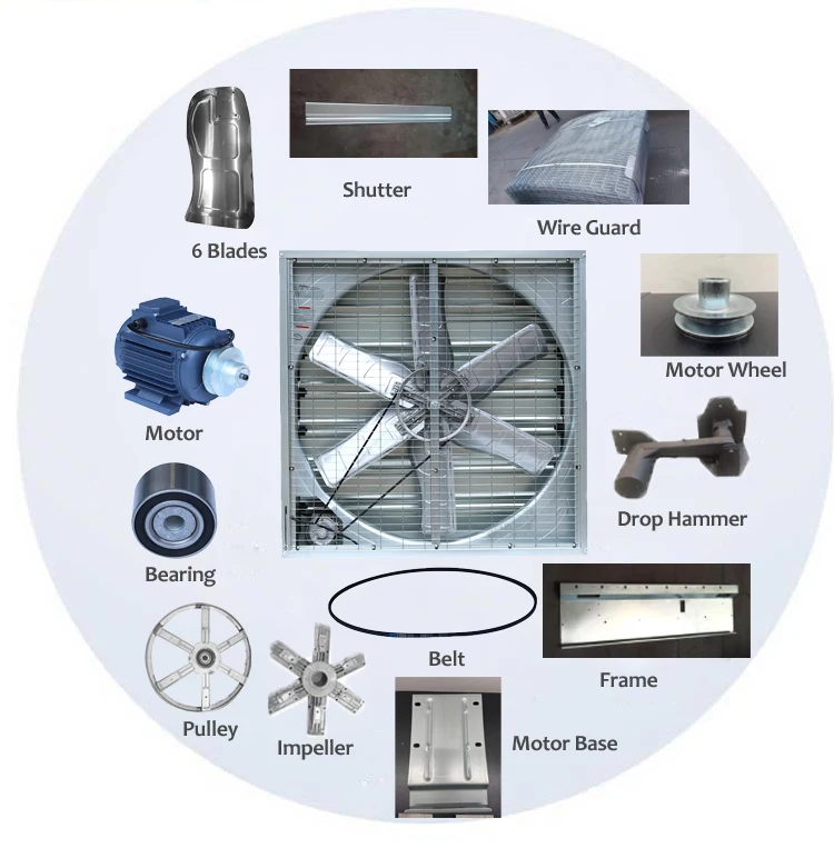 Industrial Axial Flow Exhaust Fan Customizable ODM 500mm/800mm Cast Iron Blades for Factory Warehouse Ventilation