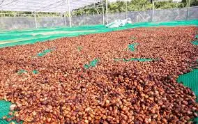 Кофейные скорлупы/кофейная шелуха-удобрения во