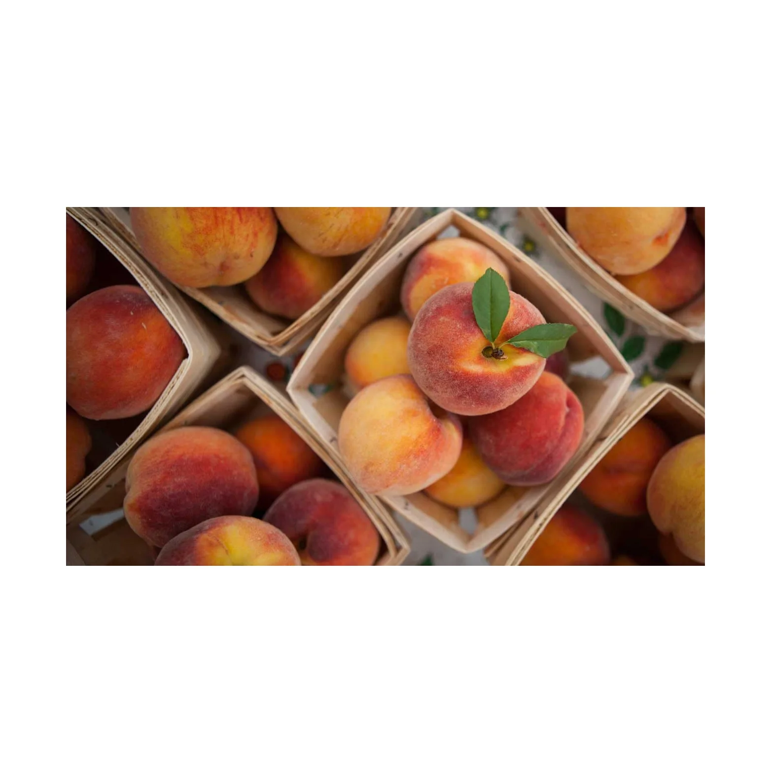 Fresh peaches. Японский персик. Персики импортные. Напиток персик Япония.