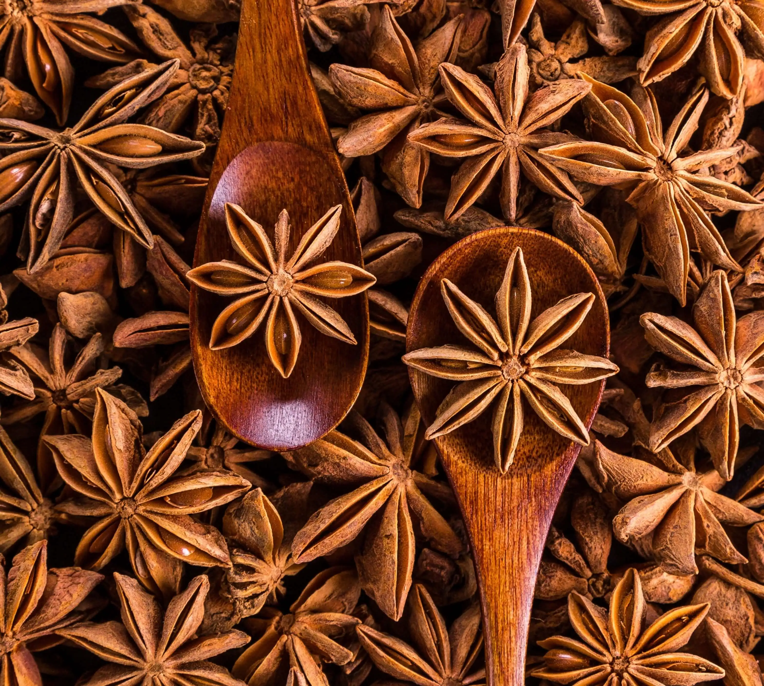 vietnamese star anise from lang son/best price / helen