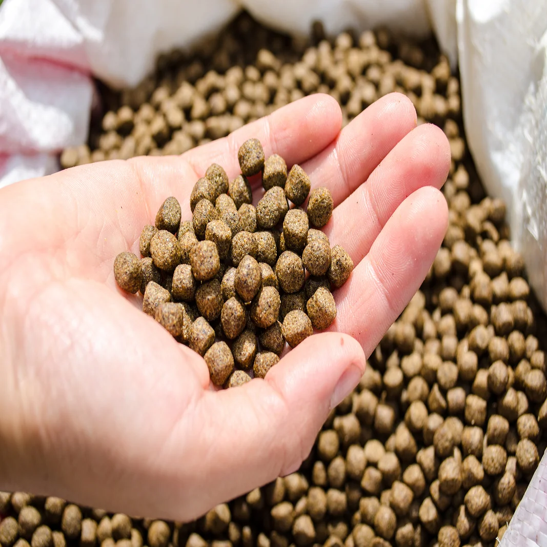 Fish feed.png