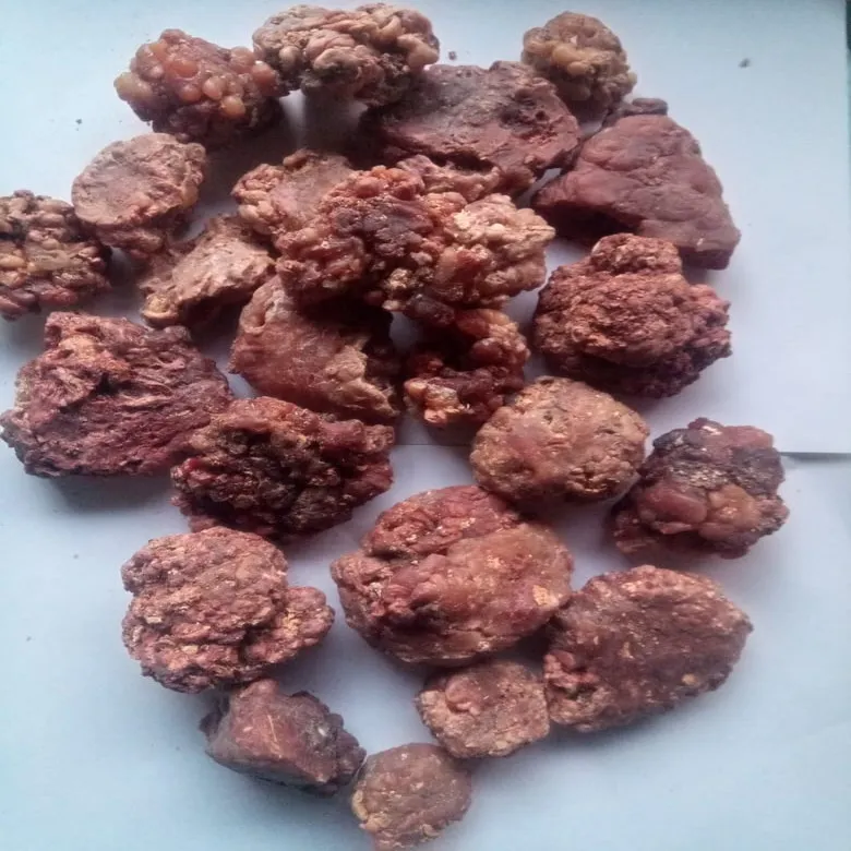 MORINGA GUM (1).jpg