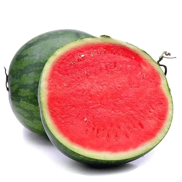 organic fresh seedless watermelon fruit for sale with best sweet