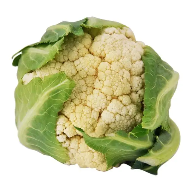 Cauliflowers06.jpg
