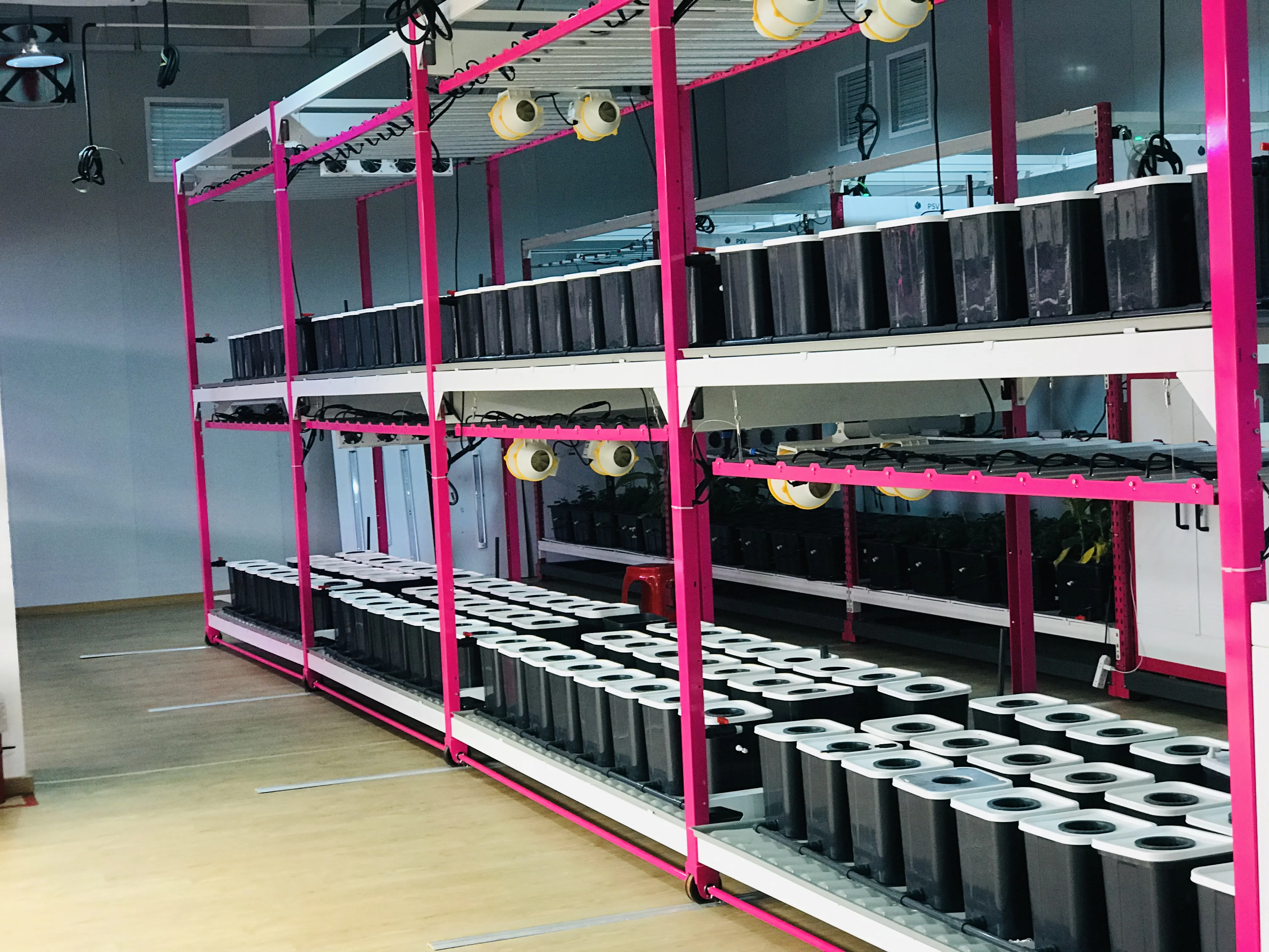 Growing Container Cherry Tomatoes in Container Farm  Cheap Containers to Grow Vegetables Winter Vertical Grow System