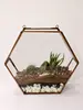 Copper Antique