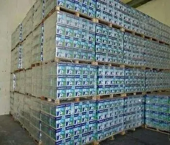 Chamex-Copy.jpg