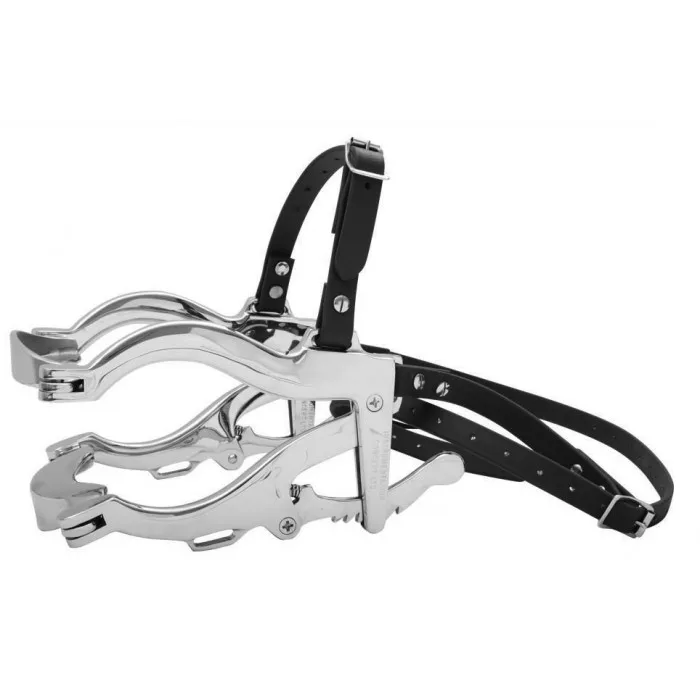 Equine Mouth Gag Equine Dental Floats Set Horse Mouth Rasp Equine