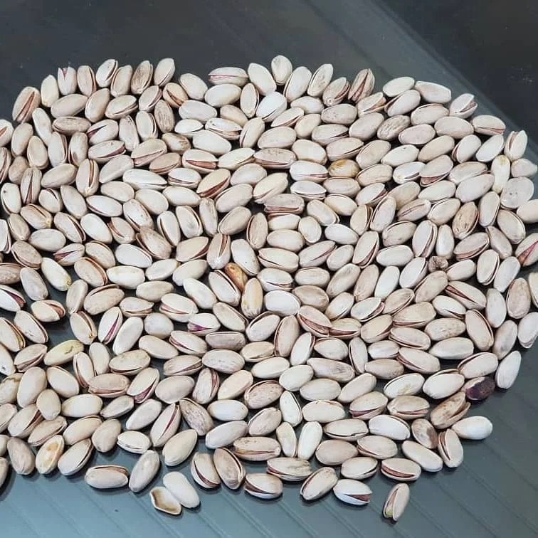 factory sell high quality new crop pistachio nut bulk pistachio