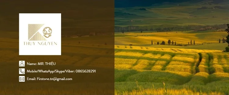 contact.jpg