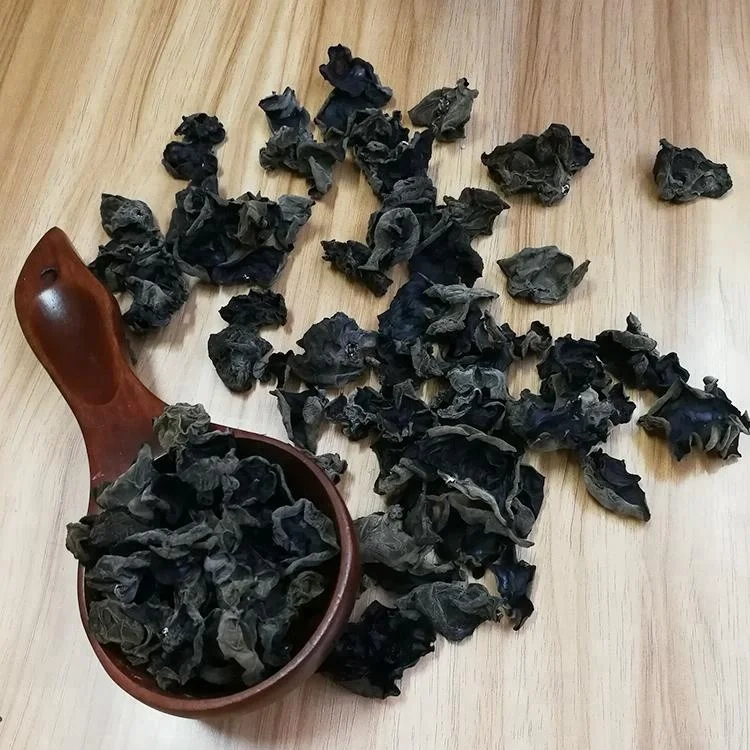 Натуральный гриб, древесина, гриб, гриб, желе, гриб для ушей