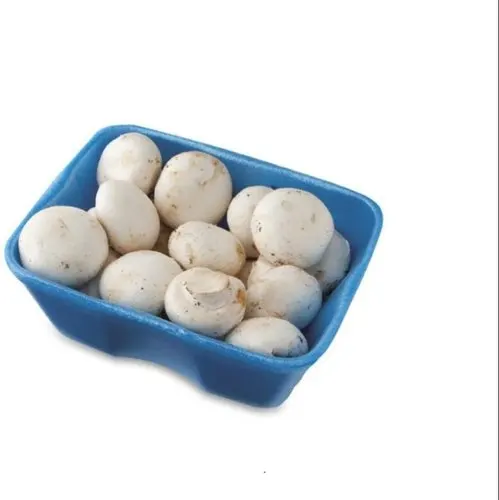 best quality fresh white button mushroom at great price