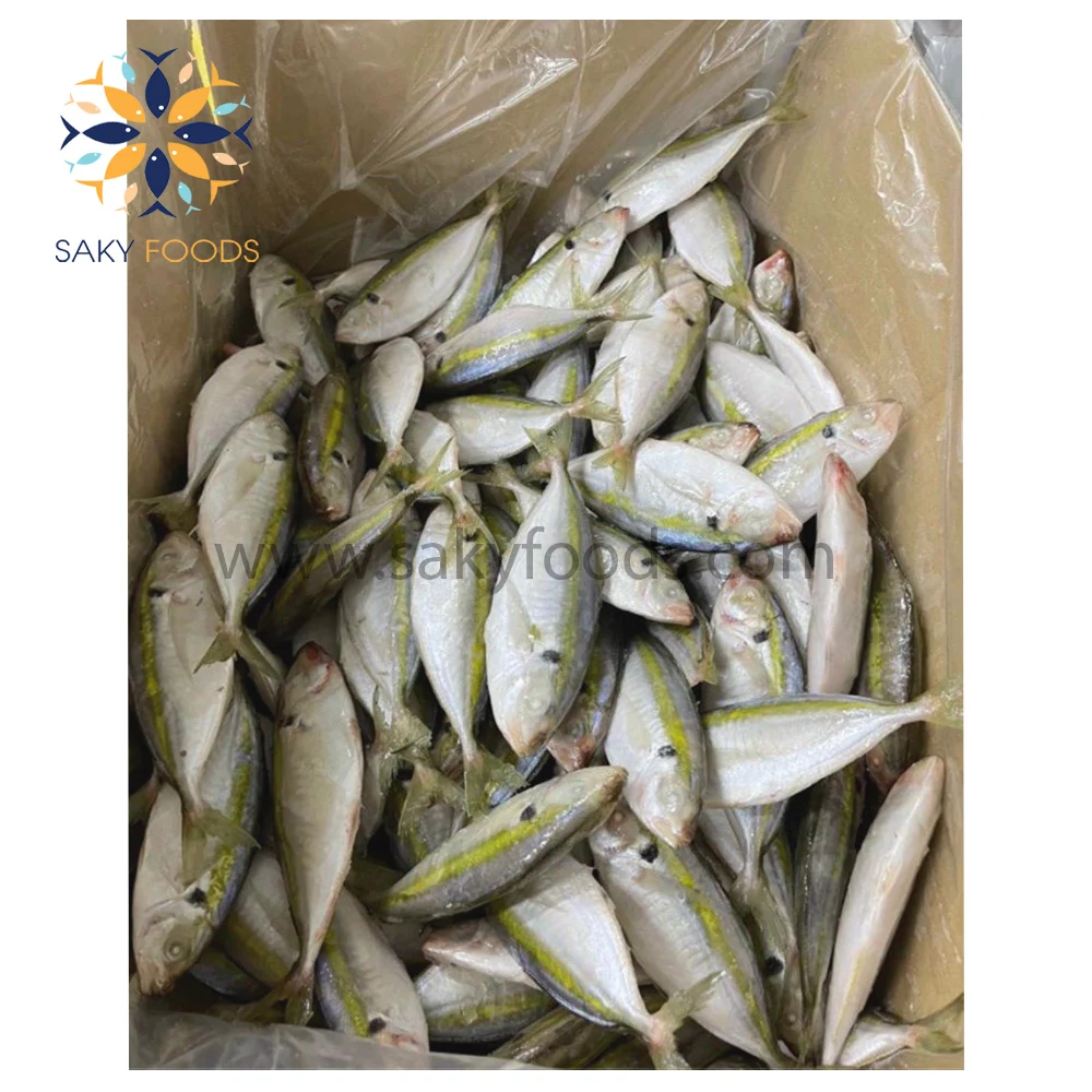 New Arrival Frozen Rohu Fish Best Price Asian Quality Frozen Rohu Fish