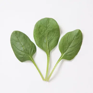 Export BQF Spinach Block Frozen Spinach