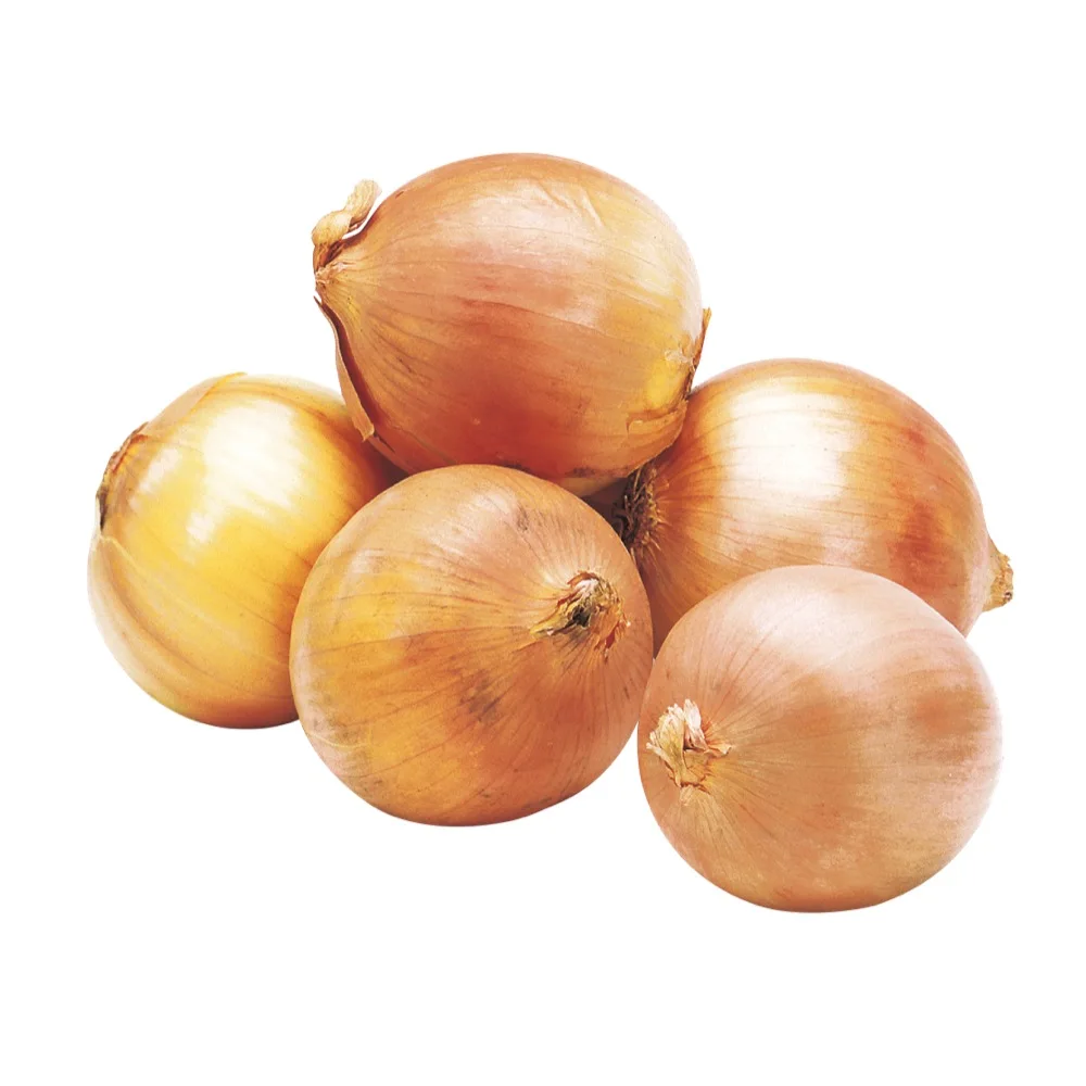onion - buy fresh onion,yellow onion specification,fresh yellow