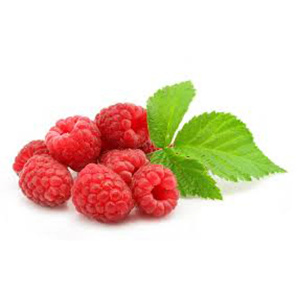 export of raspberry for manufacturing of jam - buy raspberry for