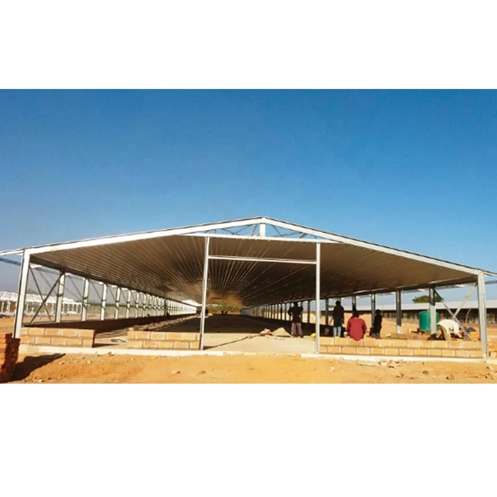 Chicken Farm Building Semi Control Shed Chicken House Quail Butchery Open Sided Poultry House