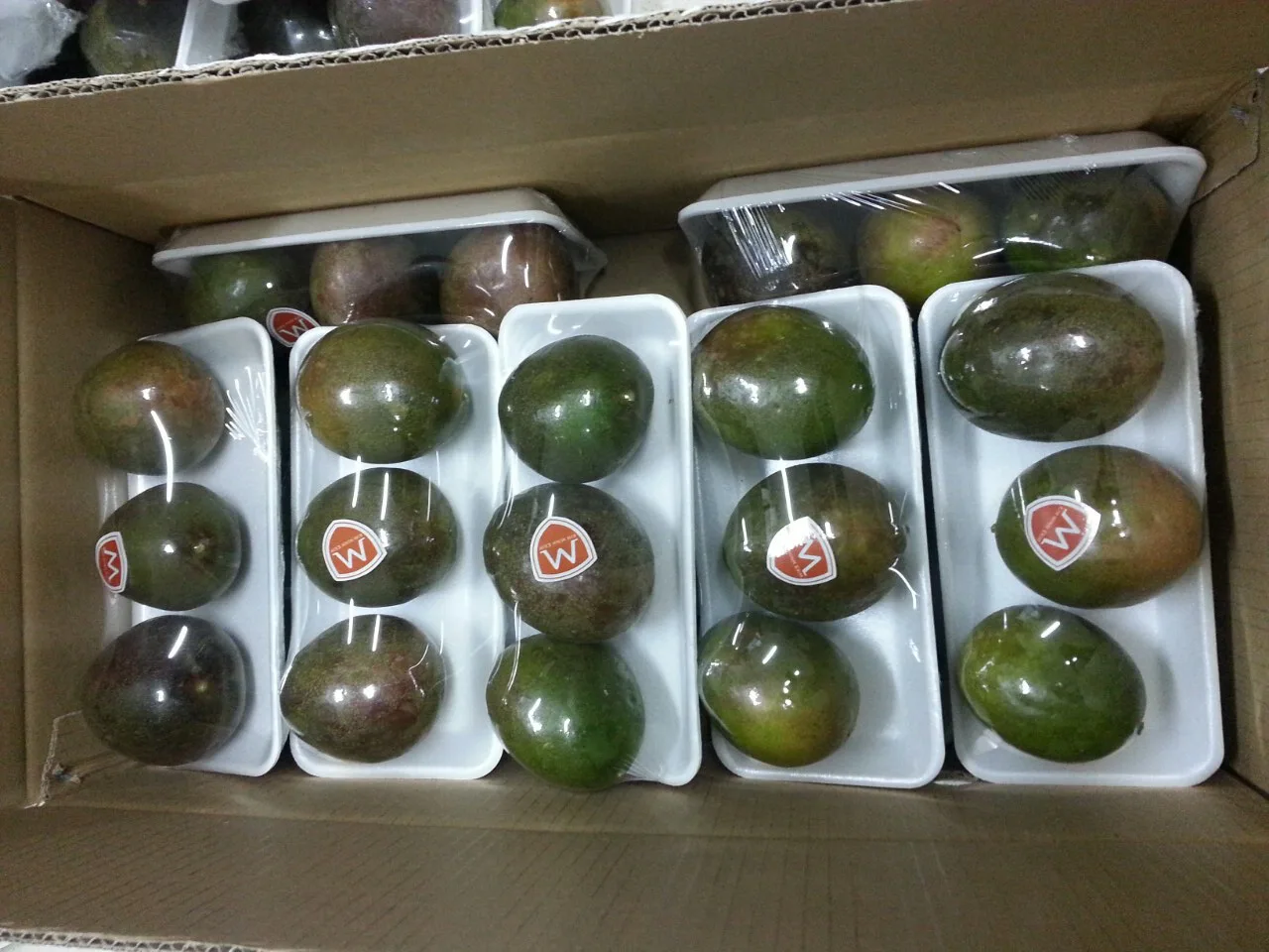 Frozen Passion Fruit Puree With Seed Origin Vietnam Contact Us Whatsapp