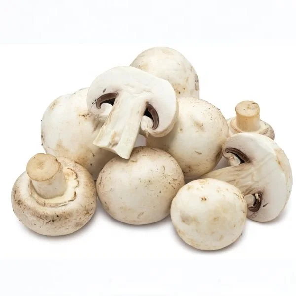 Wholesale Price Dried Champignon Mushroom Buy Champignon Mushroom Canned Champignon Mushroom Champignon Mushroom Cultivation Product On Alibaba Com