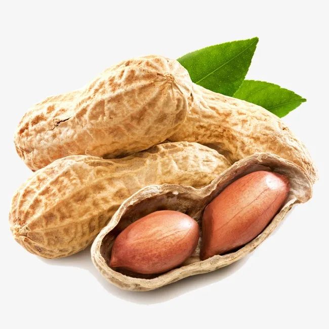 Peanuts-.jpg