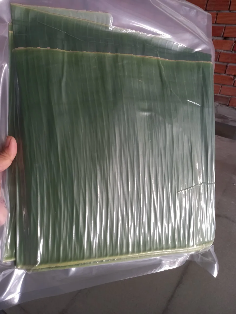 Vietnam Frozen Banana Leaf Fresh Banana Leaves With High Quality 84947900124 Buy Banana