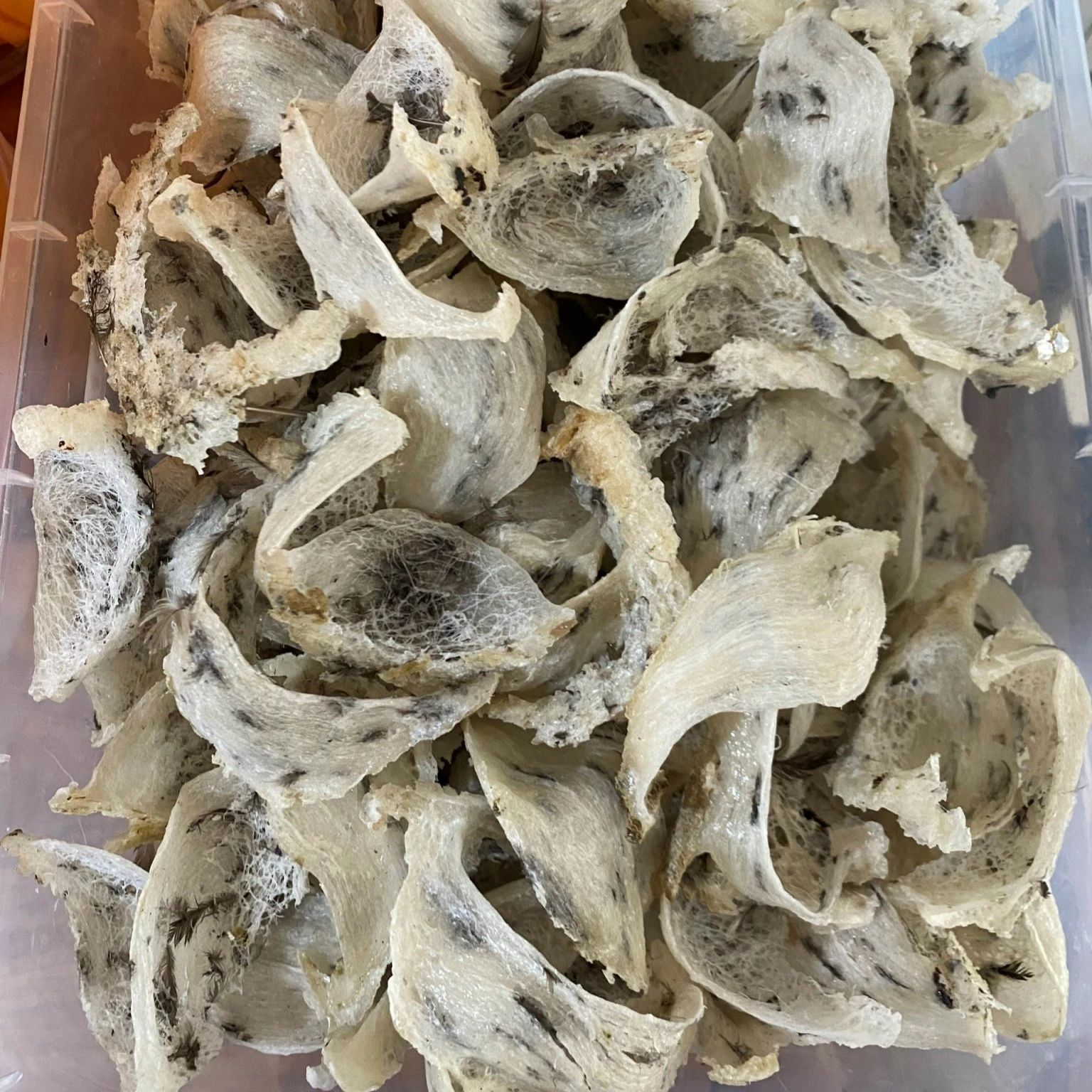 Vgreen Pro Famous Product Good For Skin And Beauty Original Few Spongy