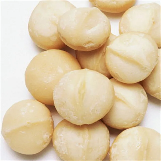 High Quality 13-18mm Raw Macadamia Nuts Grade a ISO Certified France Origin Common Cultivation Dried Food in Bags